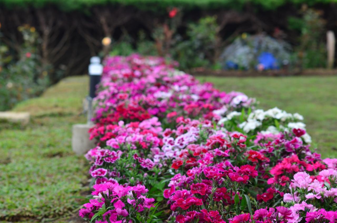 Ripon Grand Hill By Ehi Hotel Nuwara Eliya Kültér fotó
